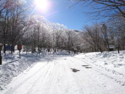 県境